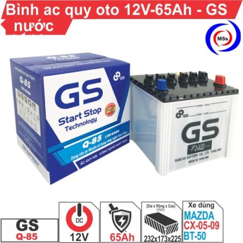 BÌNH ẮC QUY 12V 65AH OTO DẠNG LỎNG GS
