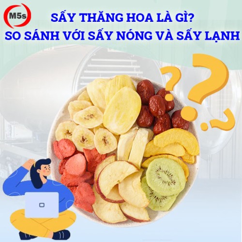 Sấy thăng hoa là gì? So sánh với sấy nóng và sấy lạnh